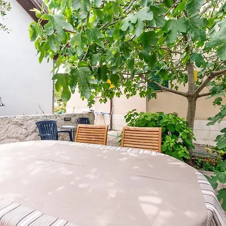 Apartment Zdena Murter