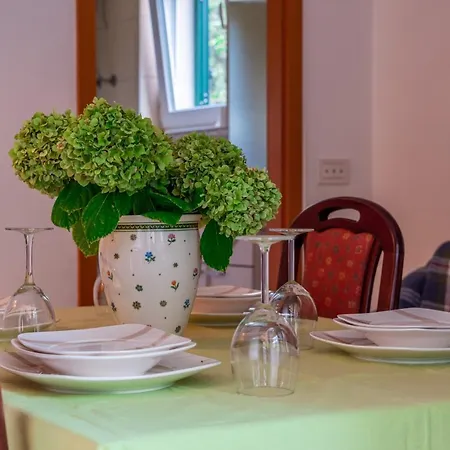 Zdena Apartment Murter