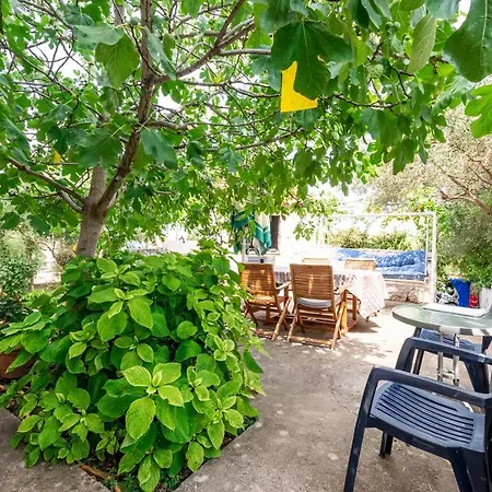 Zdena Μούρτερ